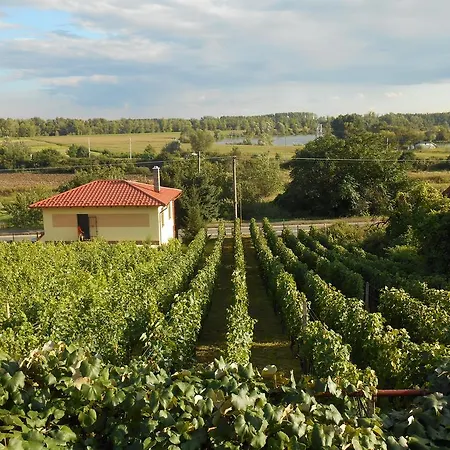 Apartament Vinny Dom