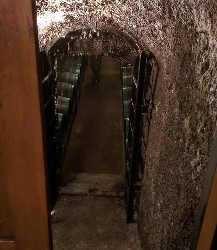 アパート Vinny Dom *