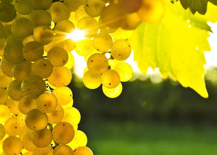 アパート Vinny Dom *