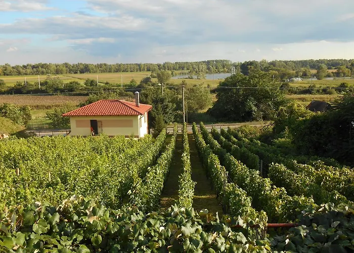 アパート Vinny Dom